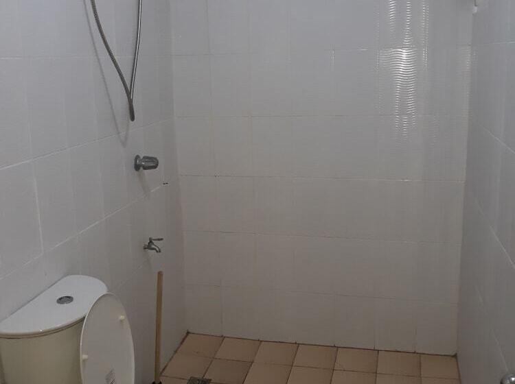 בית מלון כפרי Shane