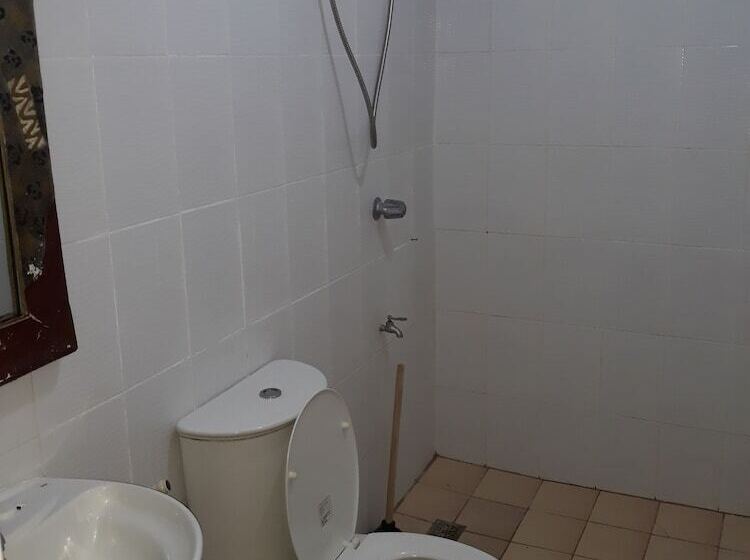 בית מלון כפרי Shane