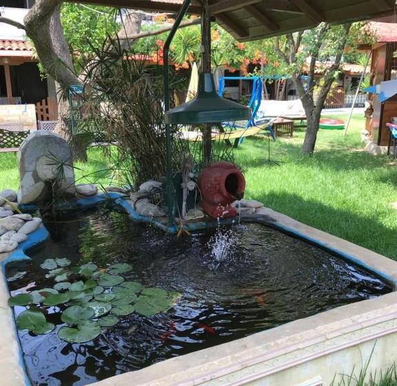 Oasis