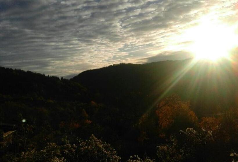 Пансион Bazoteva House