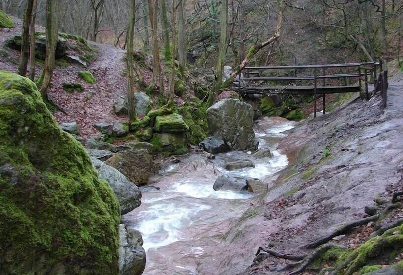 פנסיון B&b La Buissonniere