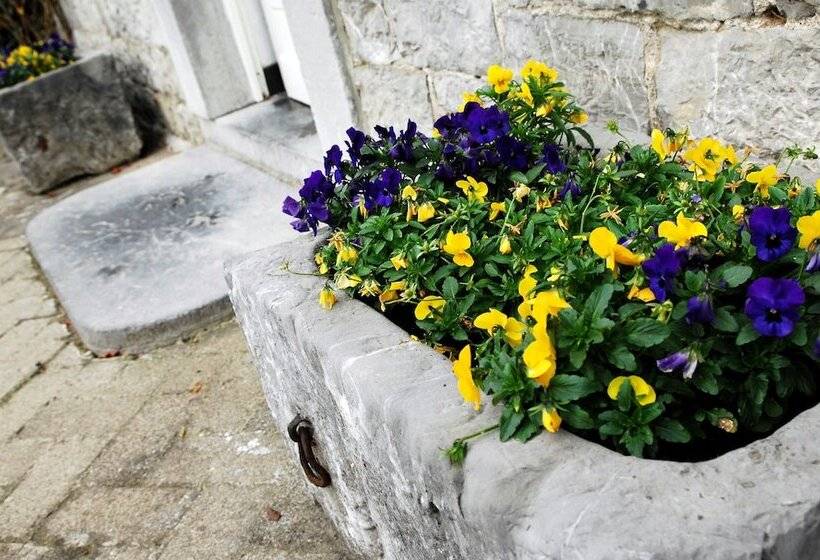 פנסיון B&b La Buissonniere