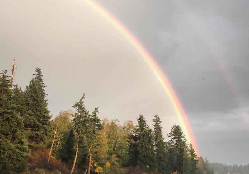 ペンション Gowlland Harbour Resort