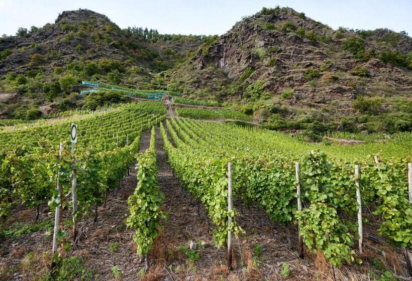 ペンション Gästehaus Lenartz Beth