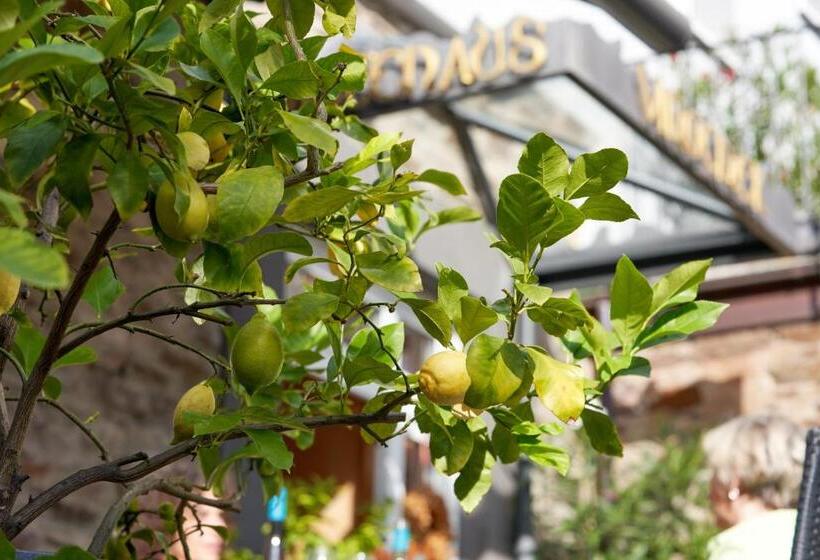 ペンション Gästehaus Lenartz Beth