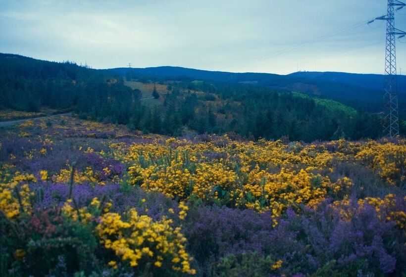 Portantiqua, Guest House