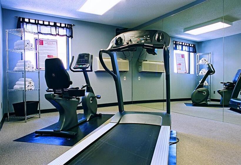 ホテル Americas Best Value Inn St. Louis / South