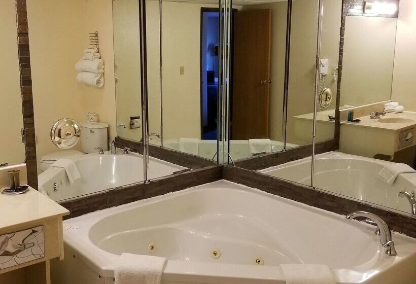 בית מלון כפרי Americas Best Value Inn St. Louis / South