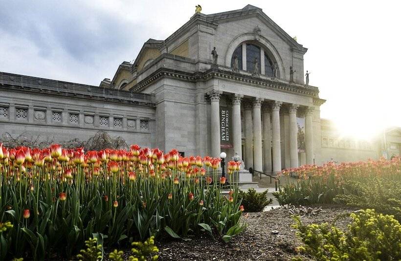 בית מלון כפרי Americas Best Value Inn St. Louis / South