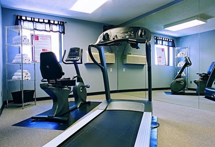 ホテル Americas Best Value Inn St. Louis / South