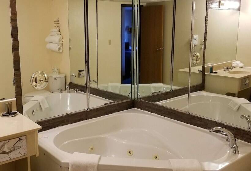 ホテル Americas Best Value Inn St. Louis / South