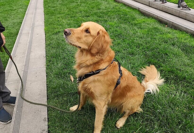 فندق Best Western Plus Concord Inn