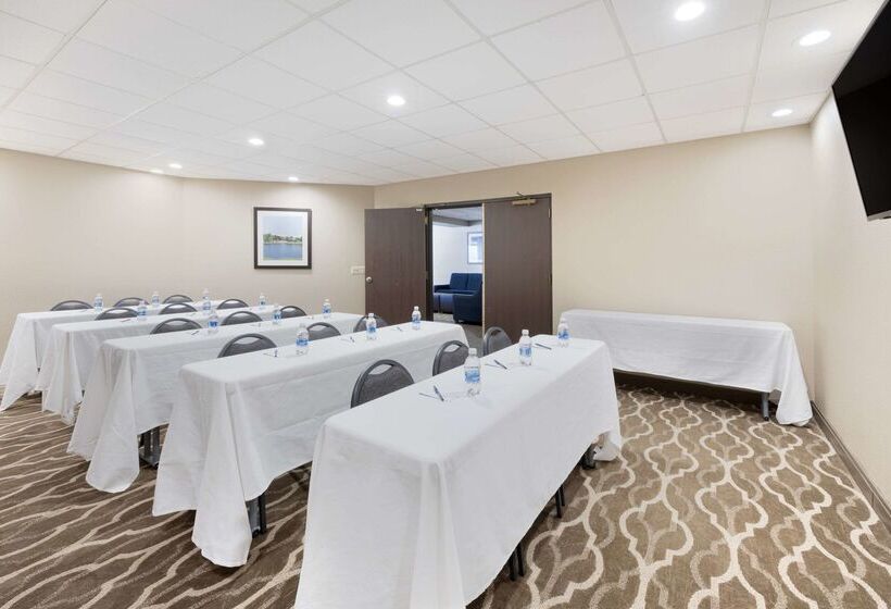 ホテル Comfort Inn & Suites