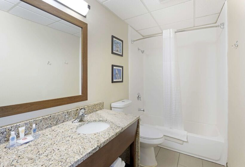 ホテル Comfort Inn & Suites