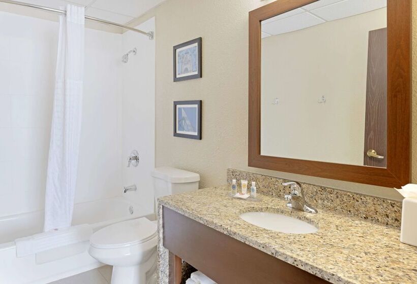 ホテル Comfort Inn & Suites