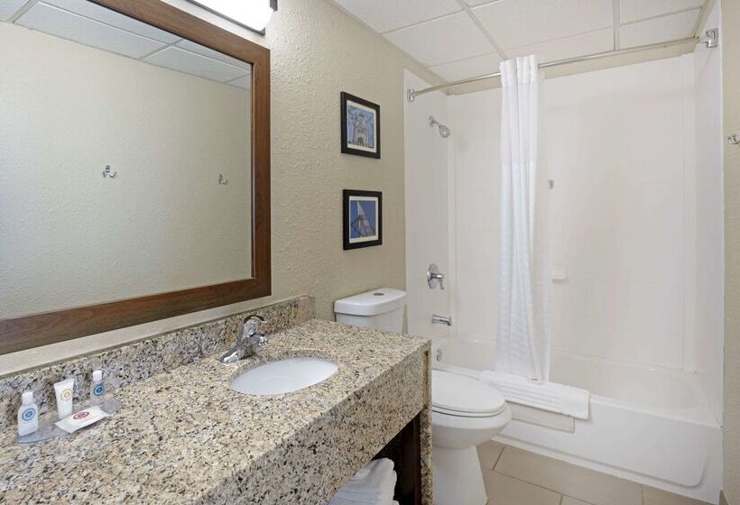 ホテル Comfort Inn & Suites