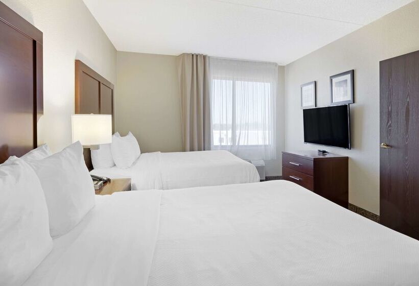 ホテル Comfort Inn & Suites