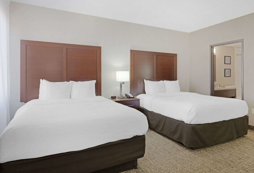 ホテル Comfort Inn & Suites