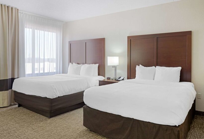 ホテル Comfort Inn & Suites