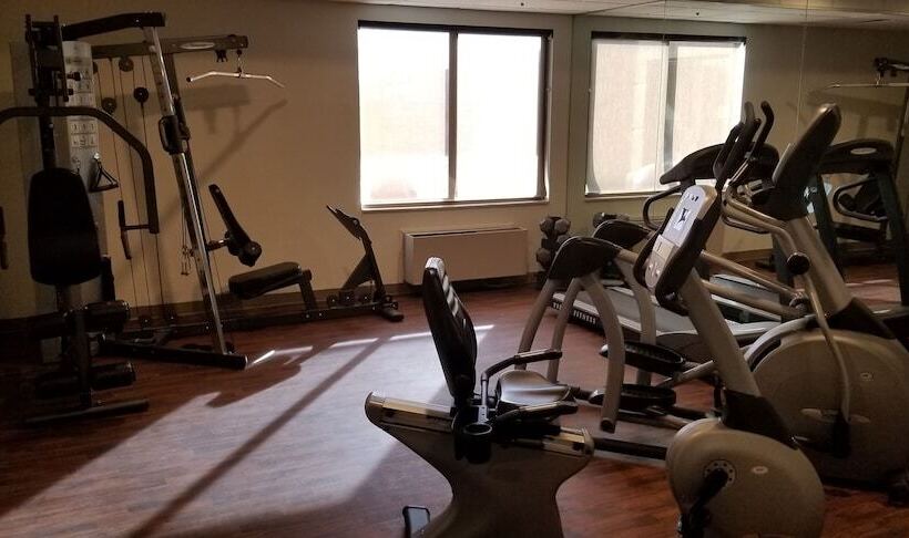 ホテル Comfort Inn & Suites