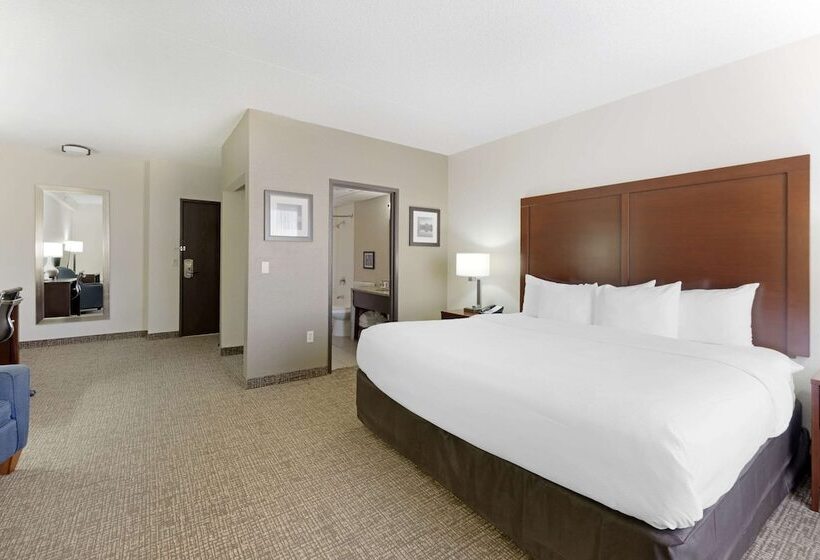 ホテル Comfort Inn & Suites