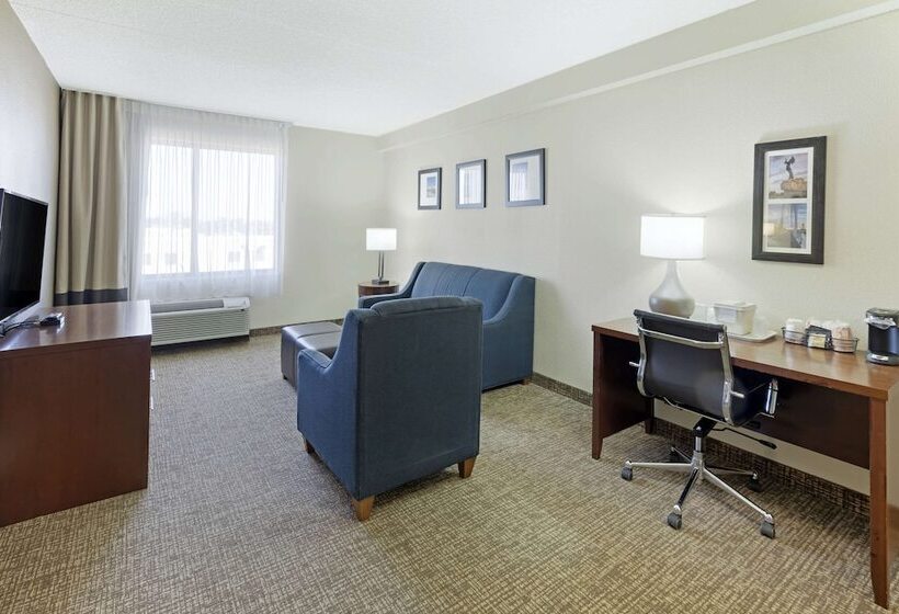 ホテル Comfort Inn & Suites