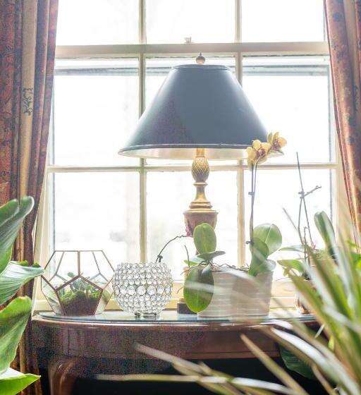 酒店 The Morehead Inn