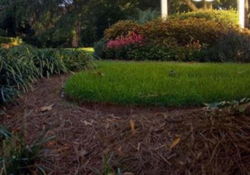 酒店 The Morehead Inn