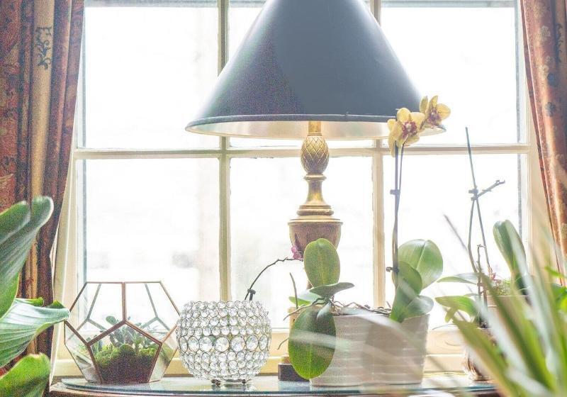 酒店 The Morehead Inn