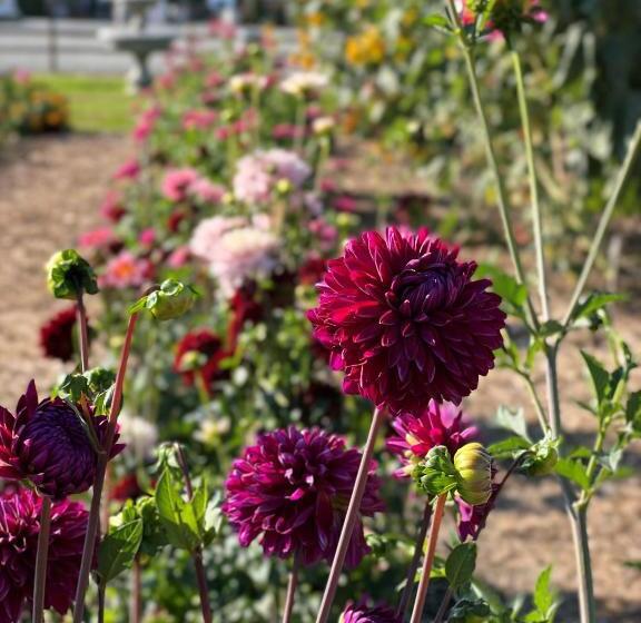 فندق Mountain View Lodge