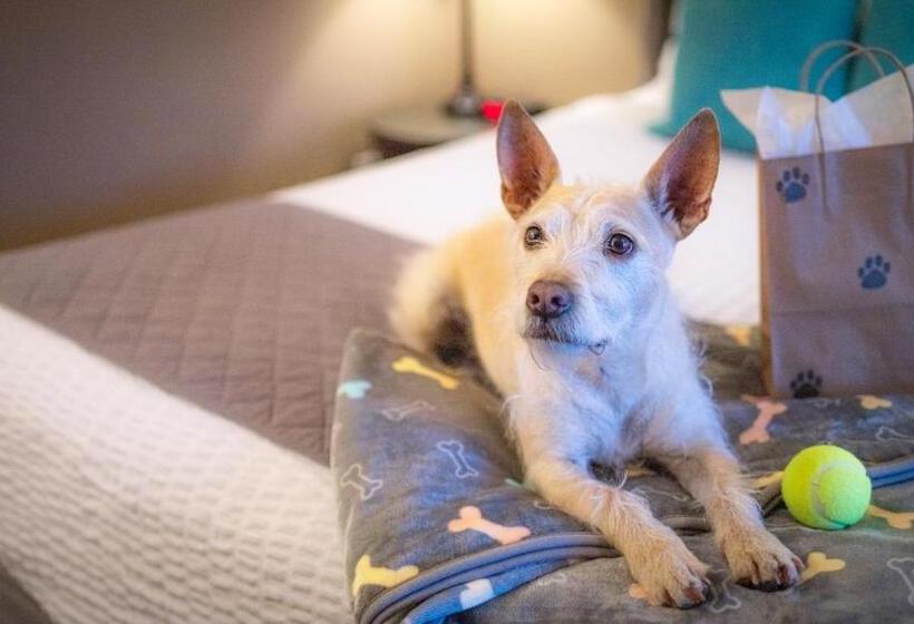 酒店 Mountain View Lodge