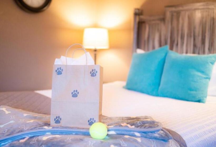 فندق Mountain View Lodge