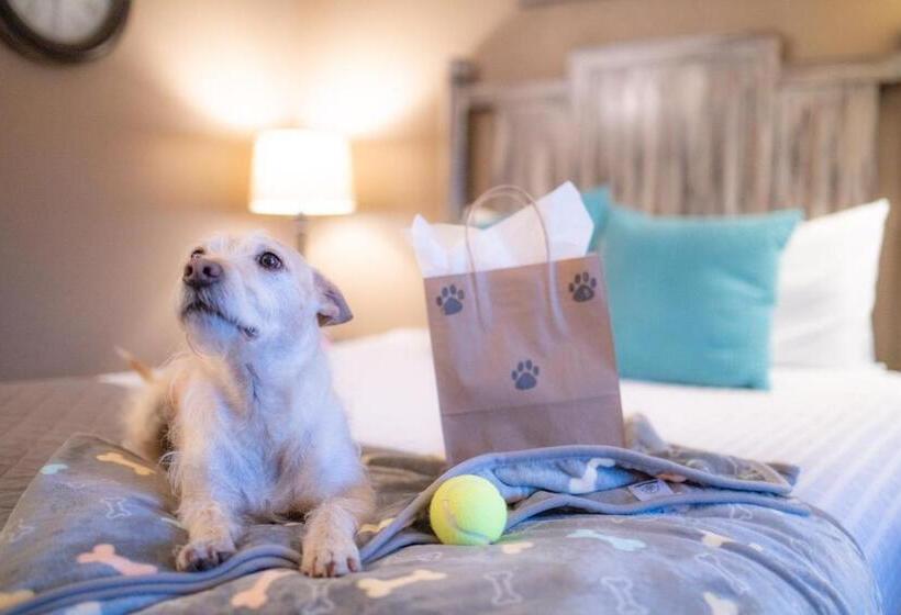 فندق Mountain View Lodge