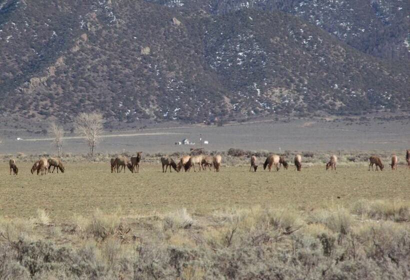 فندق Narrow Gauge Railroad Inn