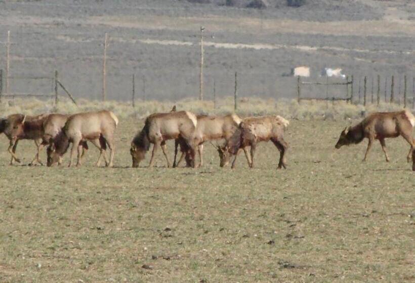 فندق Narrow Gauge Railroad Inn