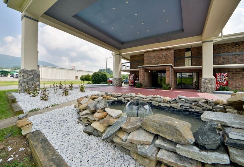 Отель Nation S Inn