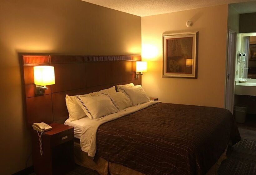 Отель Nation S Inn