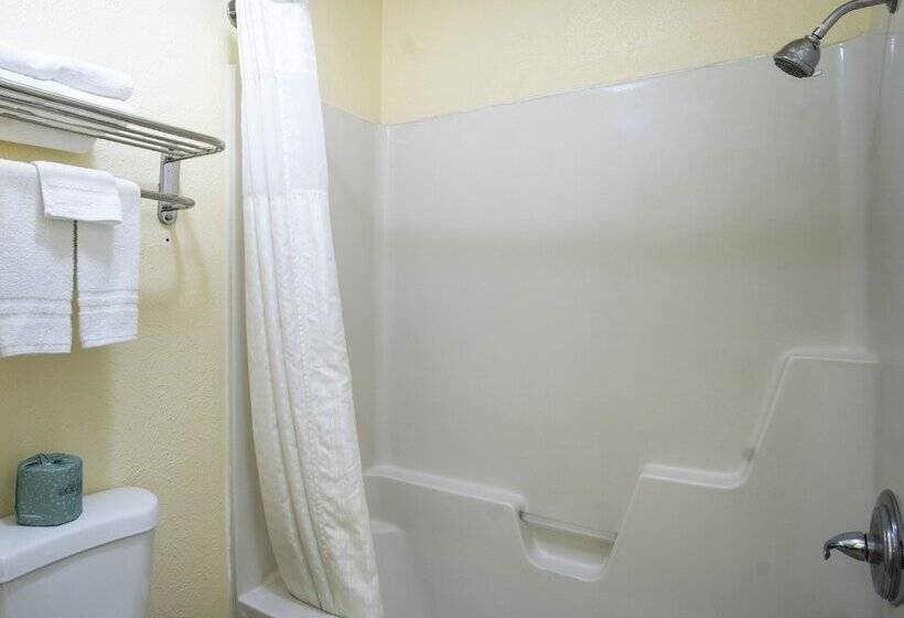 Отель Nendels Inn & Suites Dodge City Airport