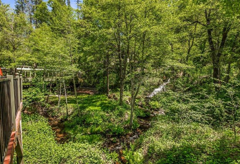 فندق Northern Queen Inn