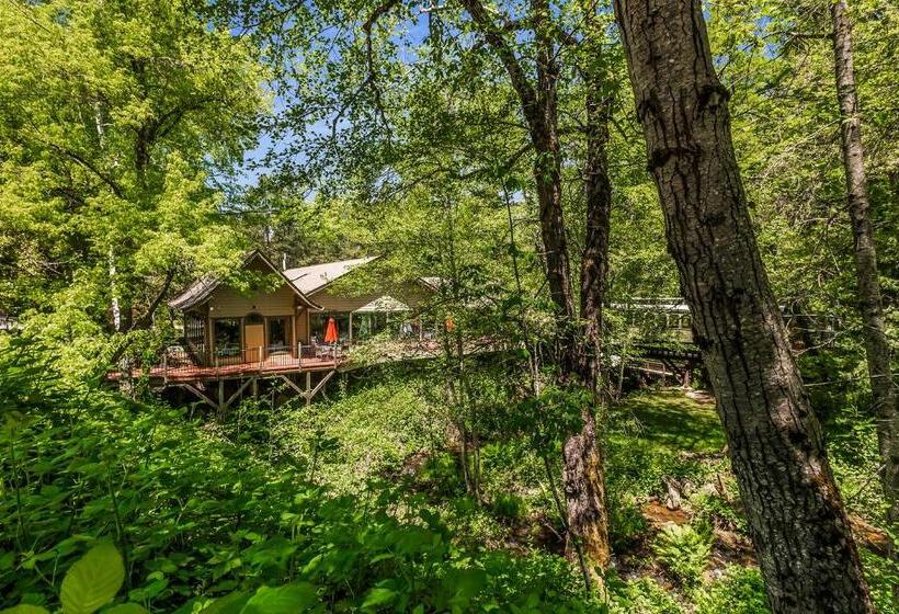 فندق Northern Queen Inn