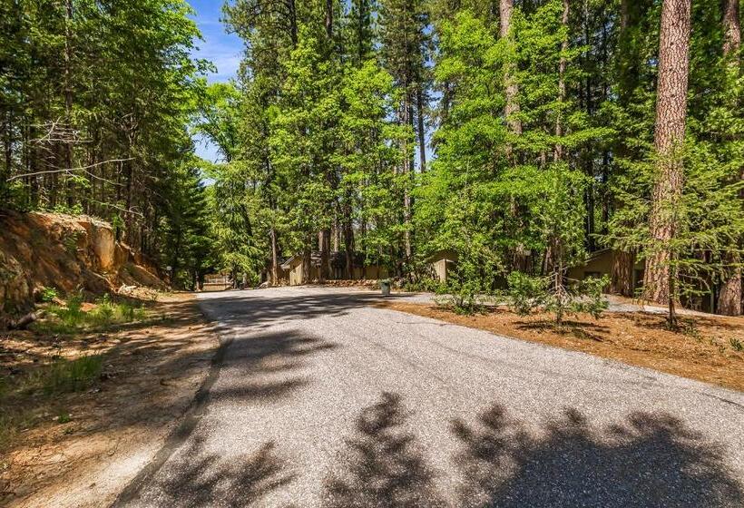 فندق Northern Queen Inn