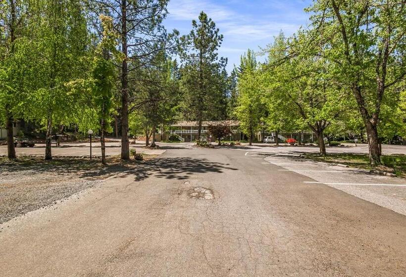 فندق Northern Queen Inn