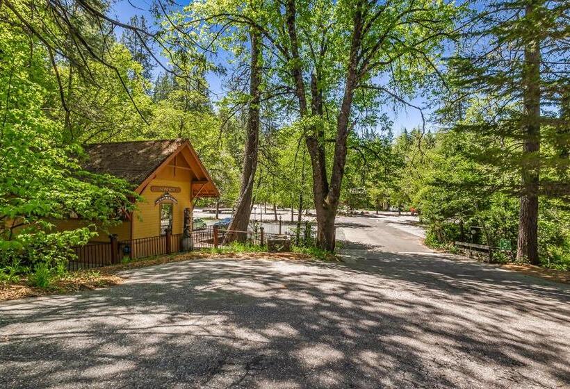 فندق Northern Queen Inn