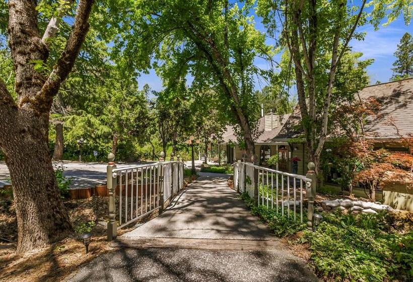 فندق Northern Queen Inn