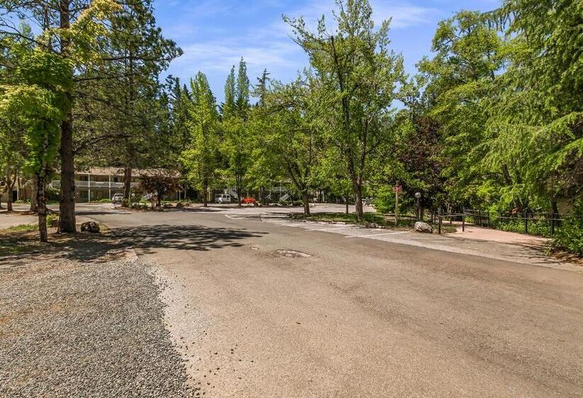 فندق Northern Queen Inn