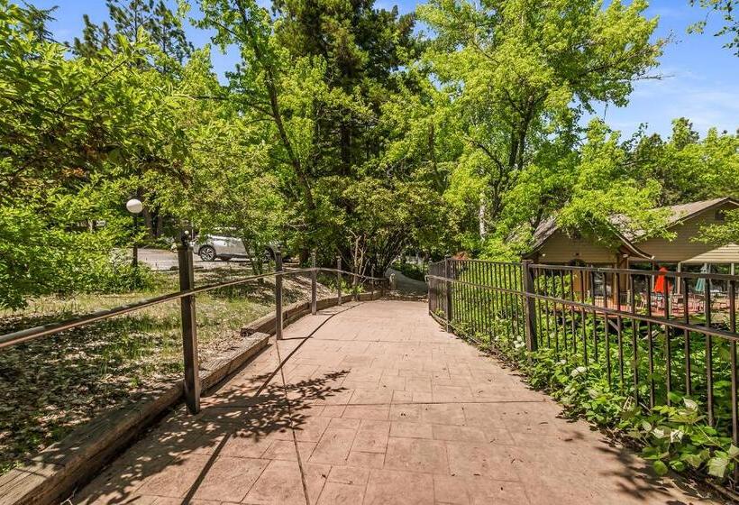 فندق Northern Queen Inn