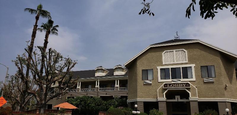 בית מלון כפרי Oak Tree Inn