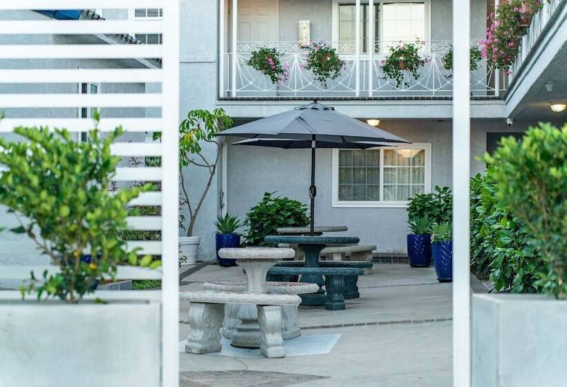 ホテル Ocean Park Inn