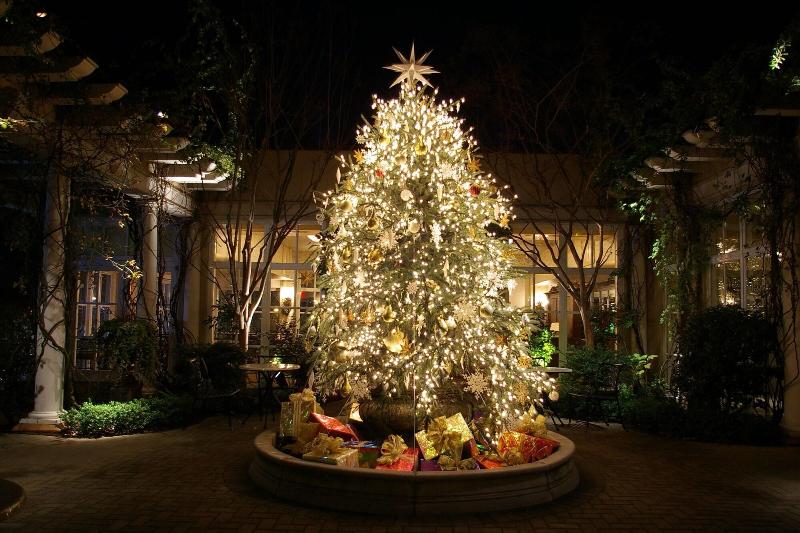 בית מלון כפרי O.henry