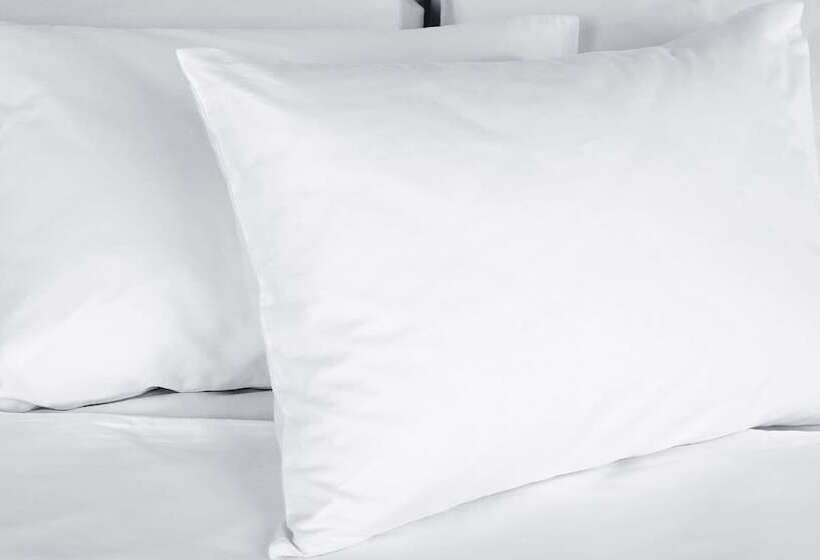 فندق Old Bardstown Inn